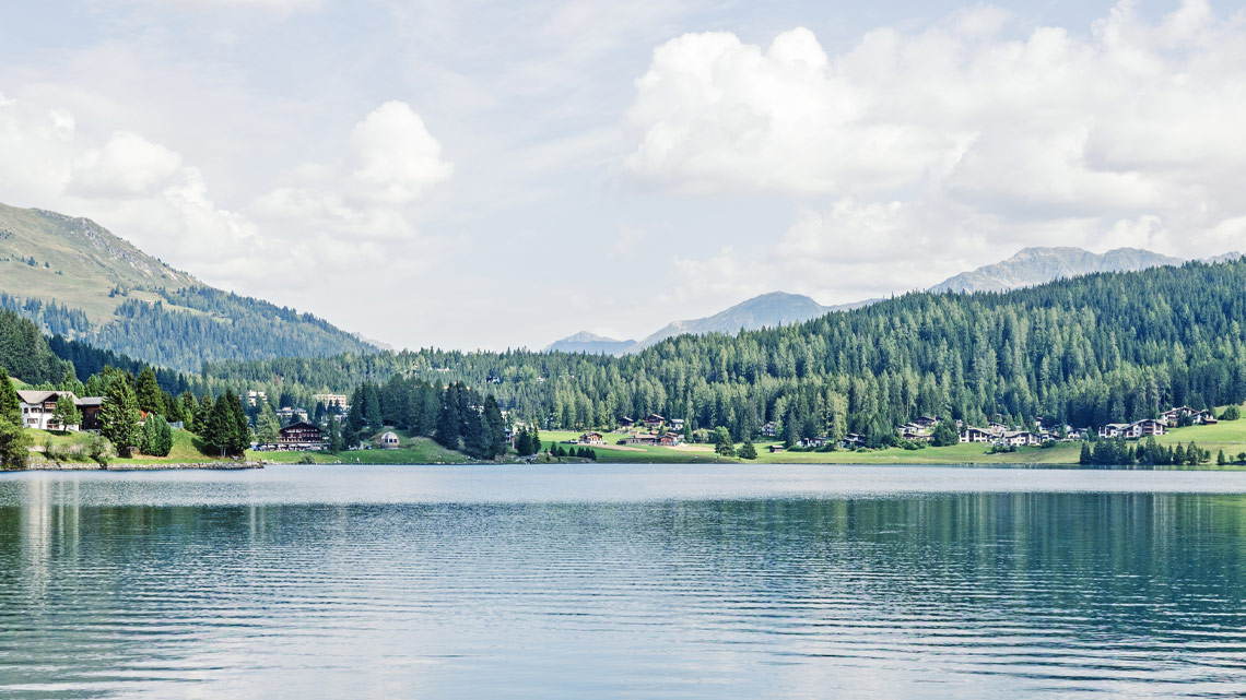 Einblick mit Aussicht: Schnuppern für dich und deine Familie